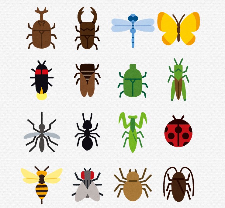 英単語 虫の名前 Bug Insect 簡単に楽しく 虫の名前を英語で覚えよう 英语单词 虫 让我们学习英语怎么说 無料英語学習サイト